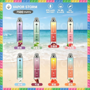VAPOR STORM風暴辣妹7500口一次性可充電電子煙 多種水果冰感風味