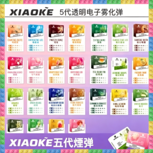 XIAOKE五代電子煙主機｜可替換煙彈電子菸主機，台灣熱賣款
